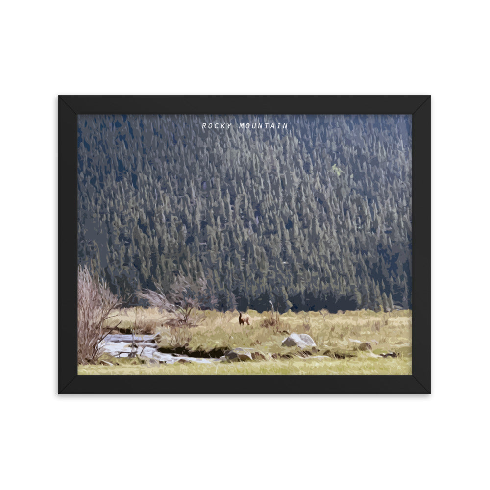 Rocky Mountain Elk Alert - Wood Framed Print