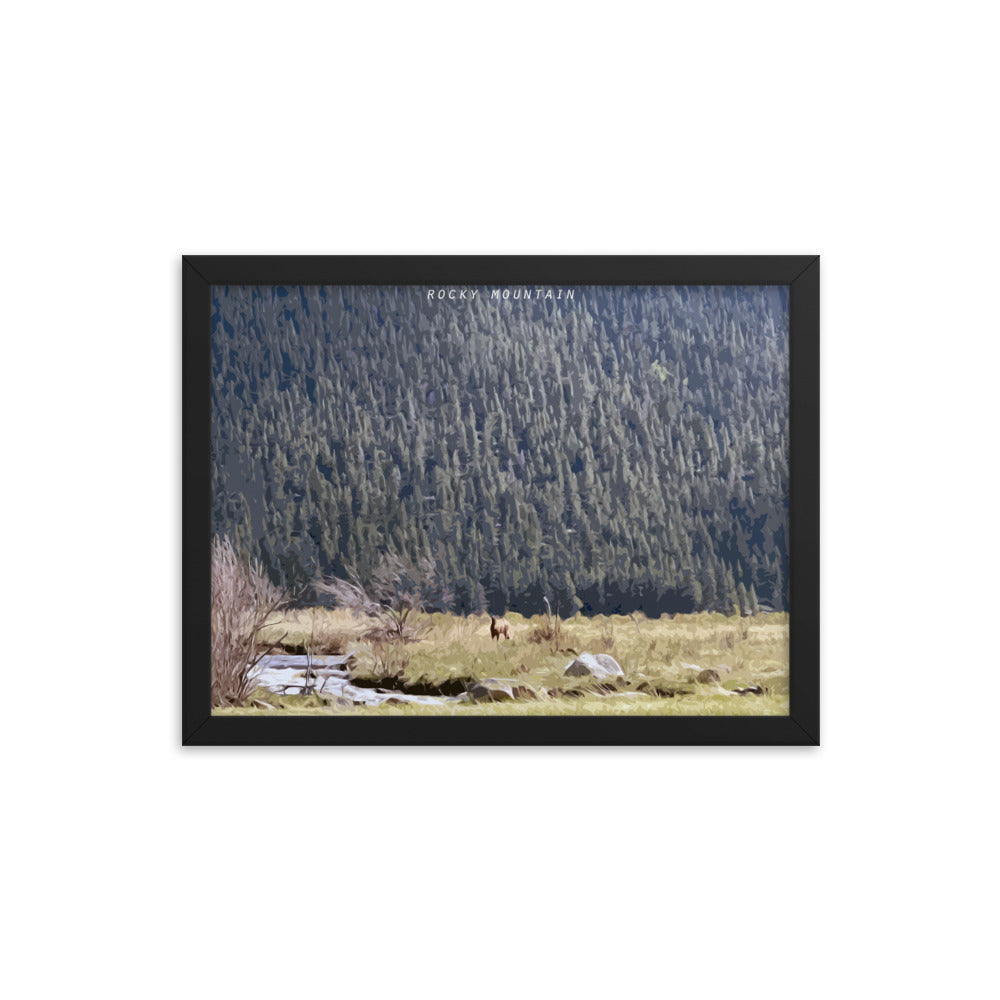 Rocky Mountain Elk Alert - Wood Framed Print