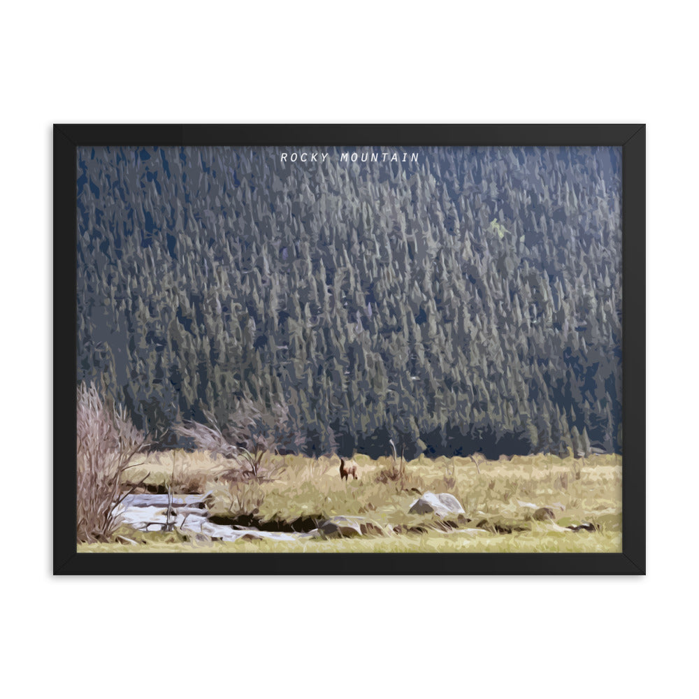 Rocky Mountain Elk Alert - Wood Framed Print