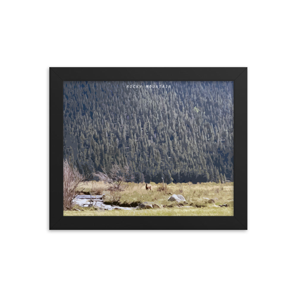 Rocky Mountain Elk Alert - Wood Framed Print