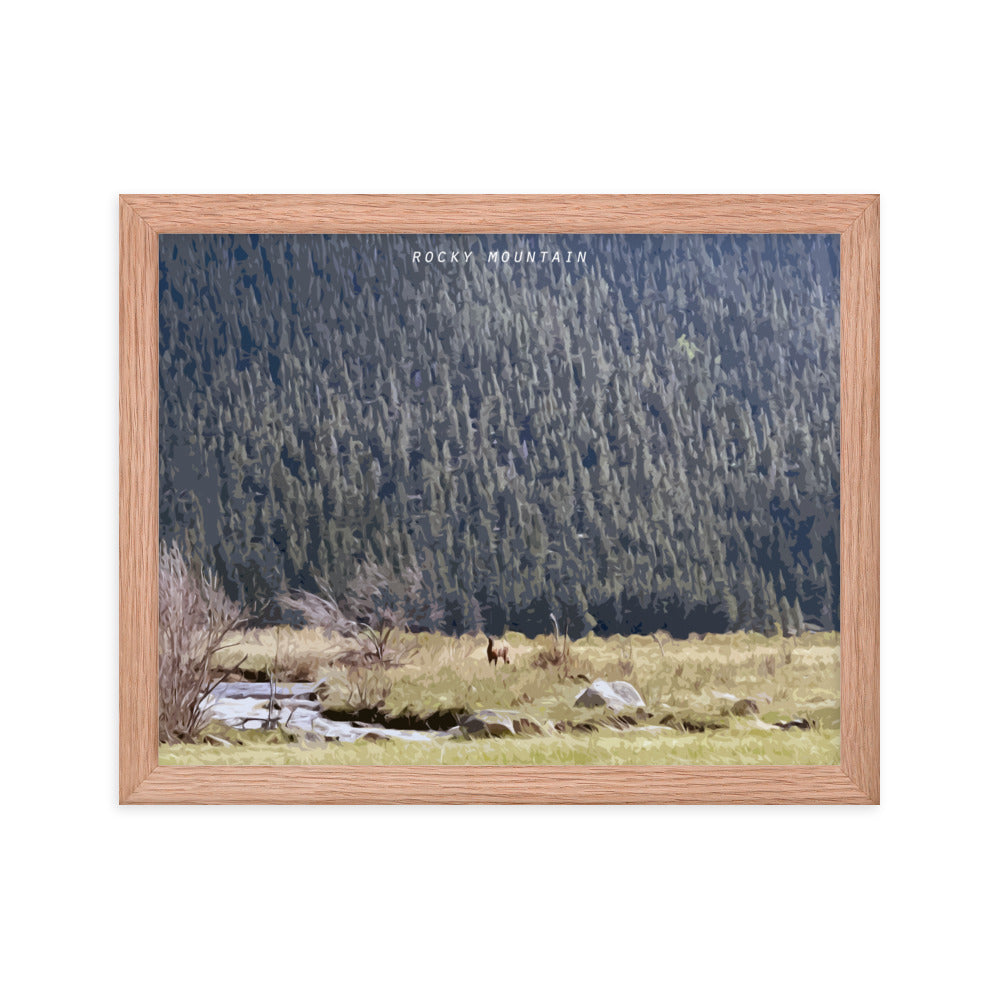 Rocky Mountain Elk Alert - Wood Framed Print