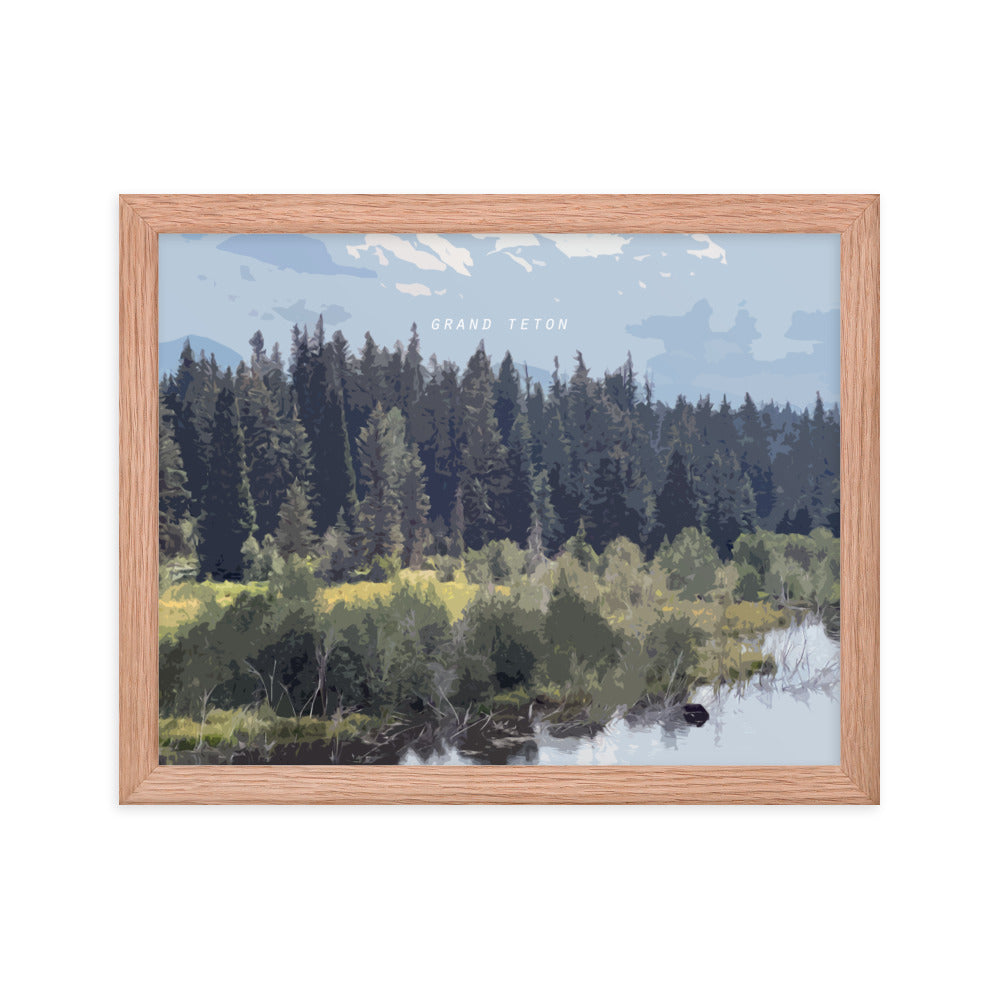 Grand Teton Moose Drinking - Wood Framed Print