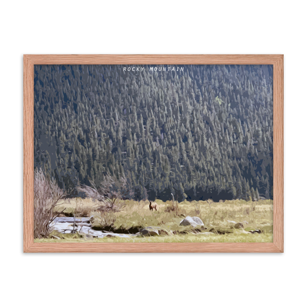 Rocky Mountain Elk Alert - Wood Framed Print