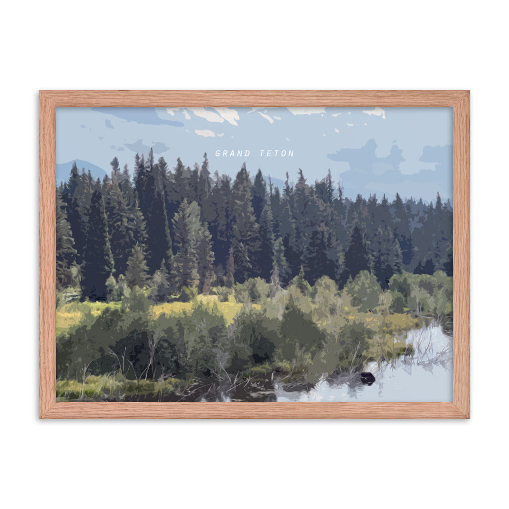 Grand Teton Moose Drinking - Wood Framed Print