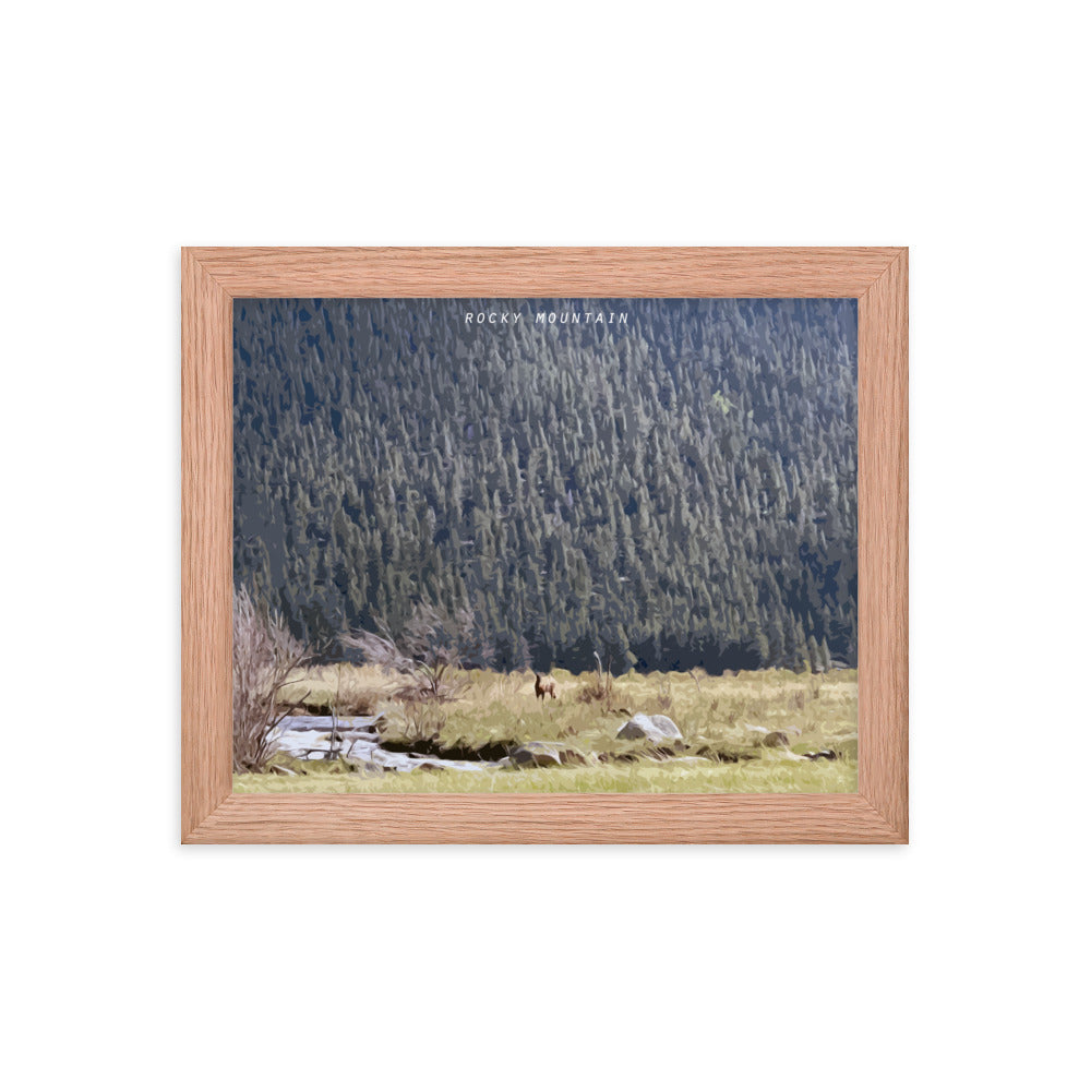 Rocky Mountain Elk Alert - Wood Framed Print