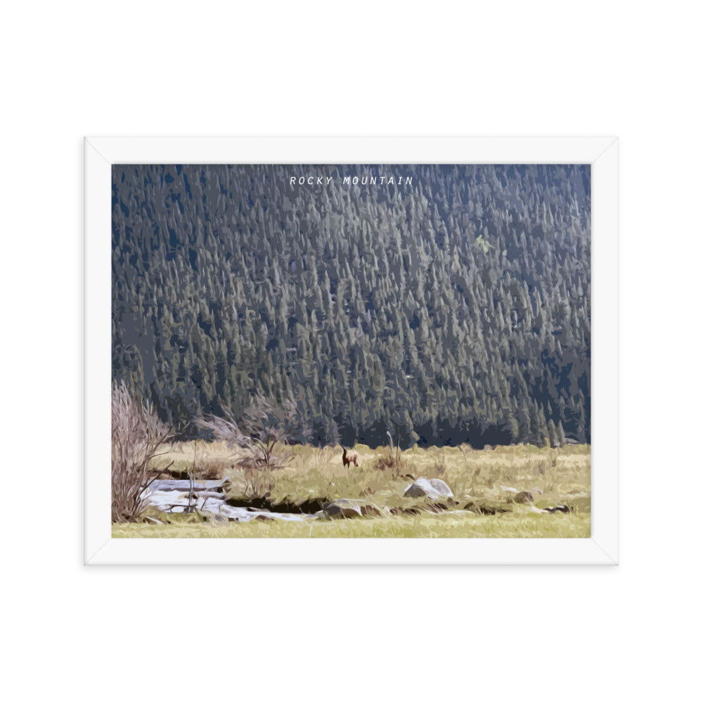 Rocky Mountain Elk Alert - Wood Framed Print