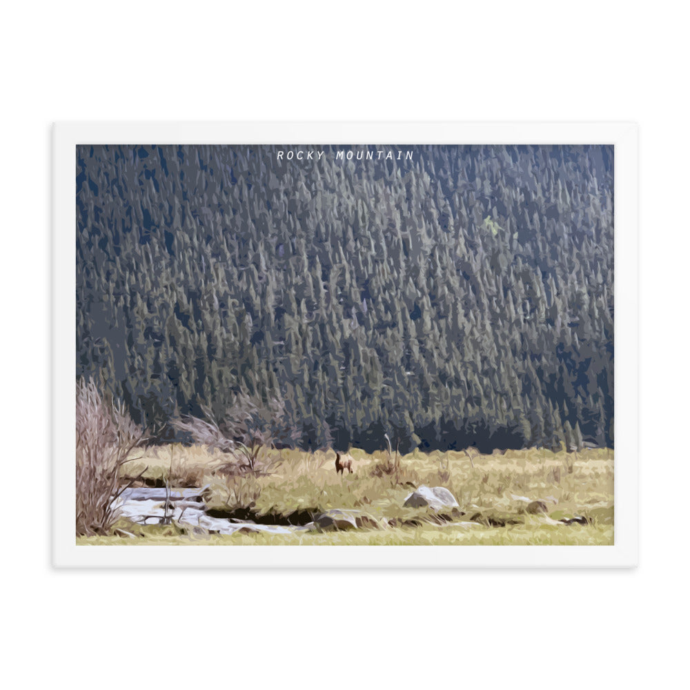 Rocky Mountain Elk Alert - Wood Framed Print