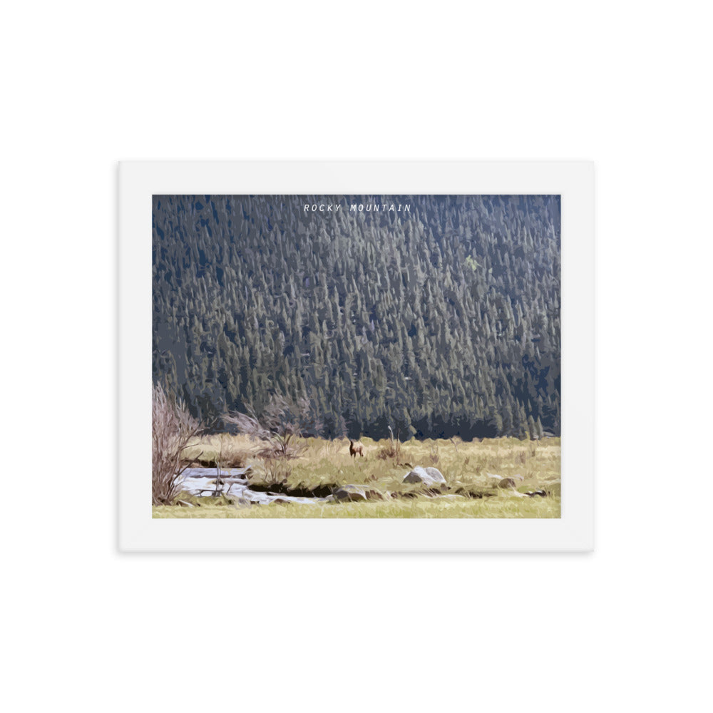 Rocky Mountain Elk Alert - Wood Framed Print